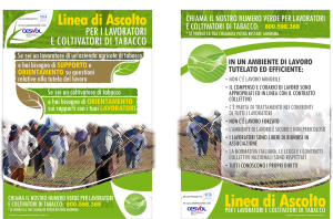 BROCHURE NUMERO VERDE