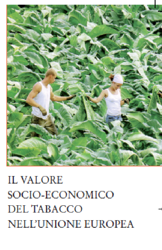 Copertina_Pubblicazione il valore del tabacco