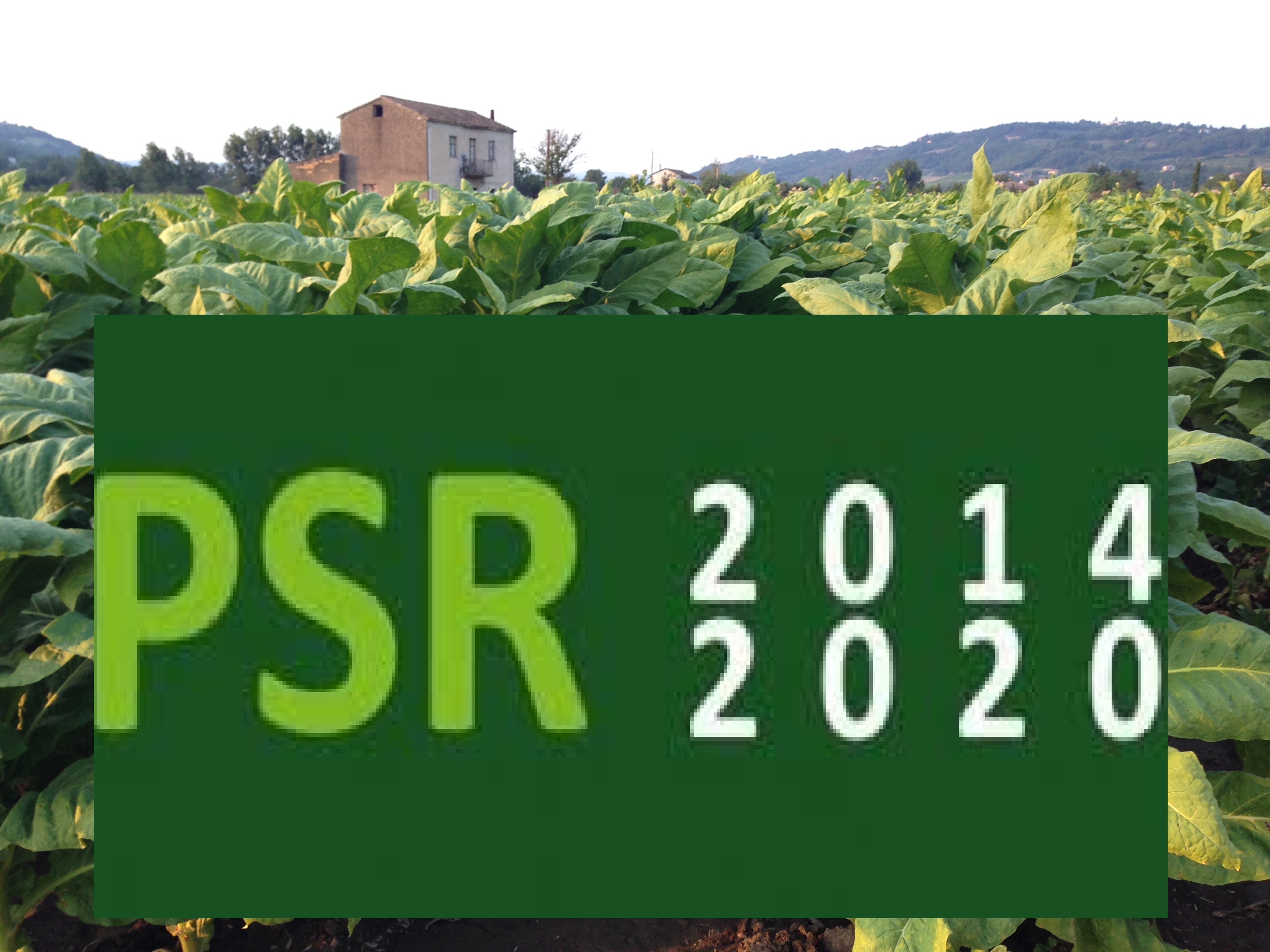 PSR_2014-2020