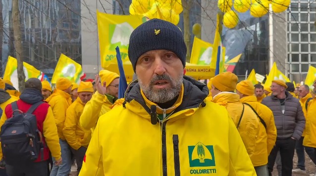 whatsapp-image-2025-12-19-at-18-50-00